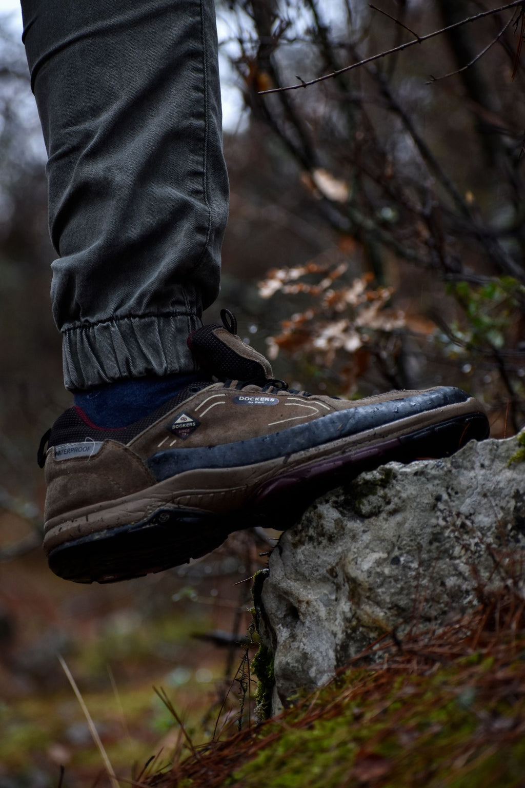 Trail Low hiking shoe on a mossy rock on a forest trail, overcast light