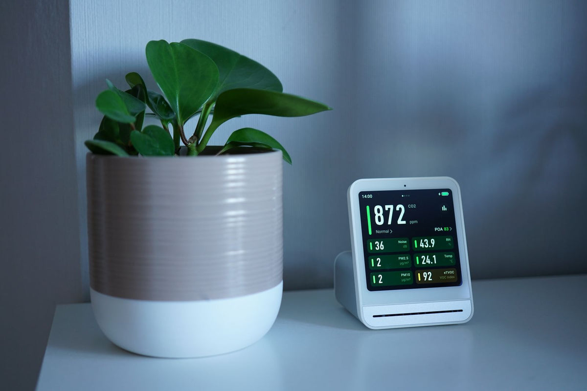 Air quality monitor on a shelf beside a potted plant