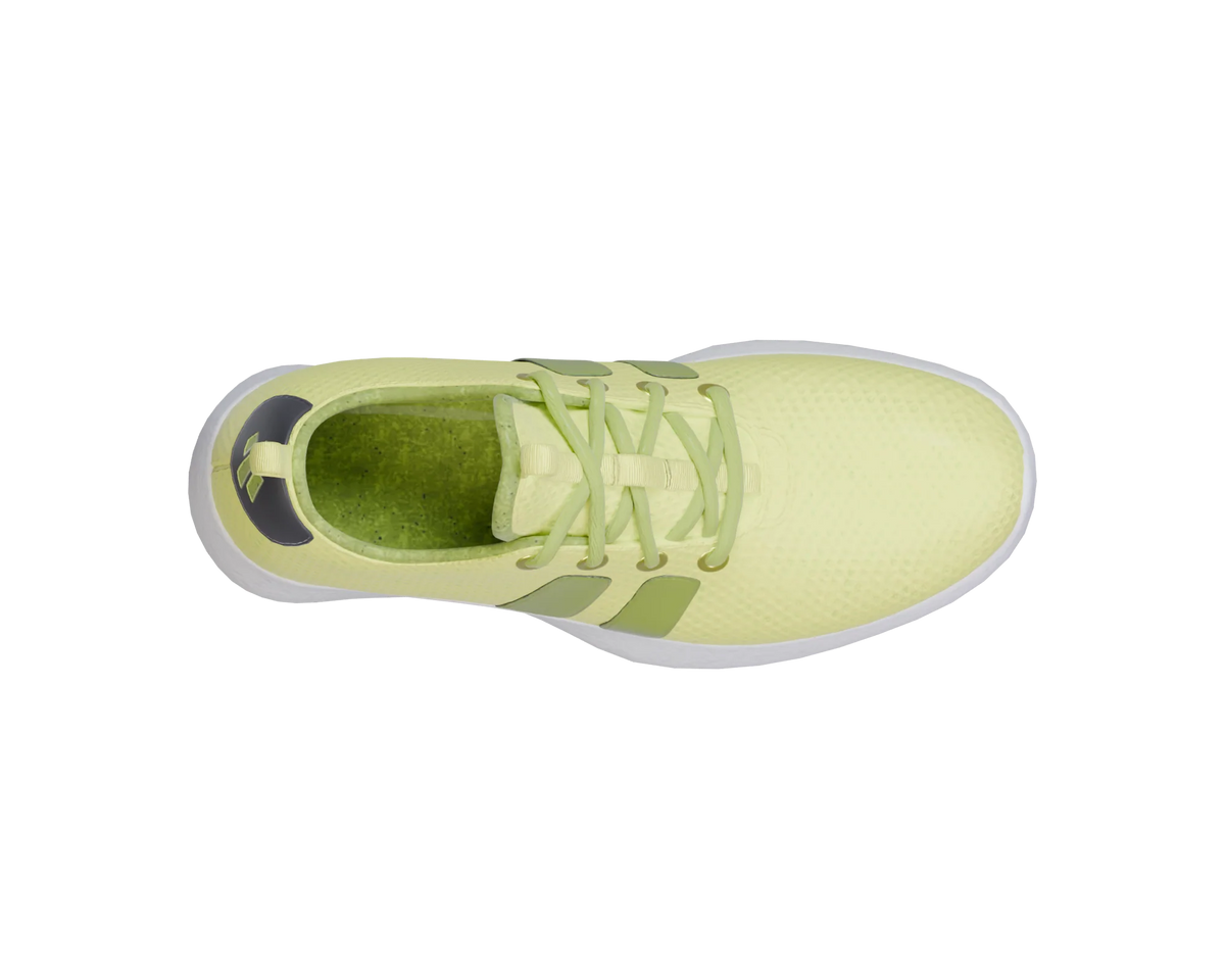 RF/01 — Acid Circuit — top view
