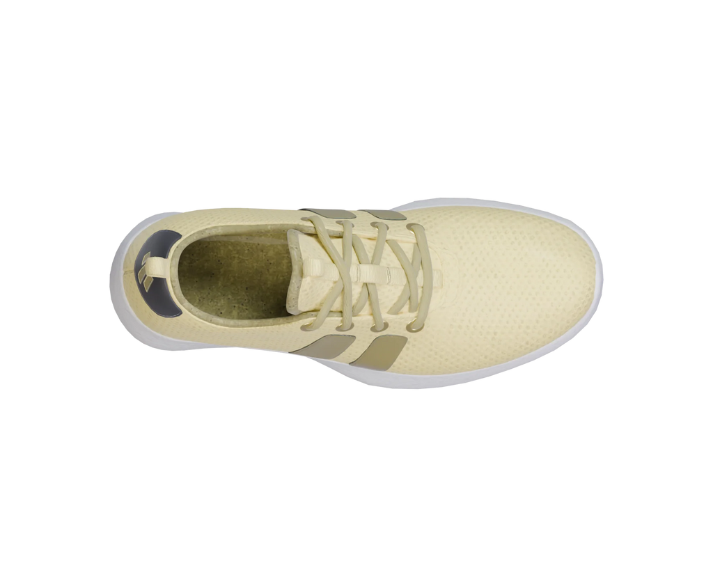 RF/01 — Solar Trace — top view