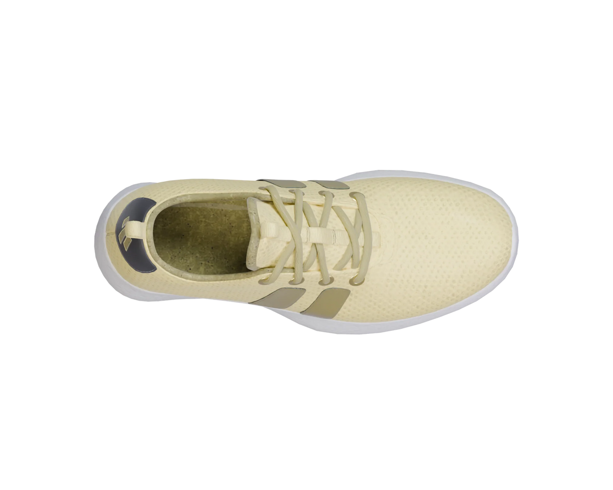 RF/01 — Solar Trace — top view
